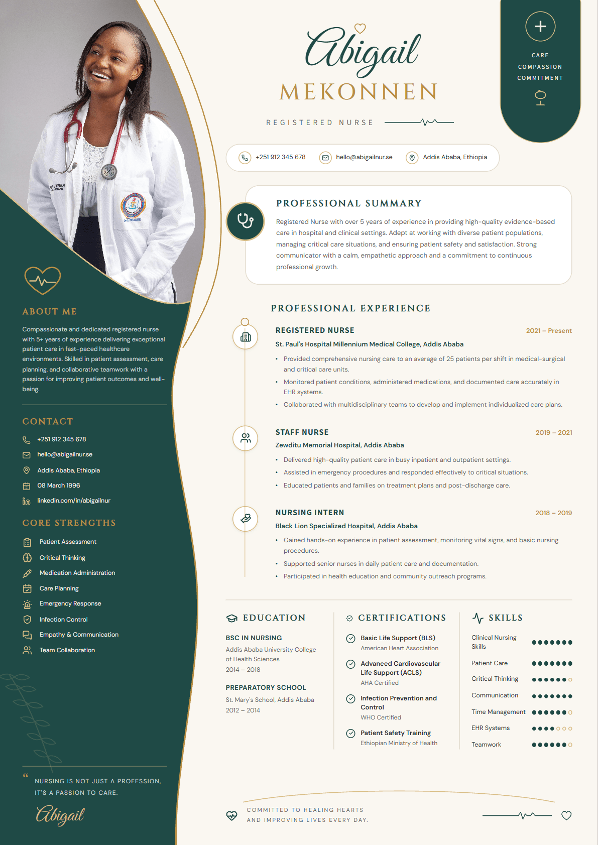 Clinical Care Resume resume template