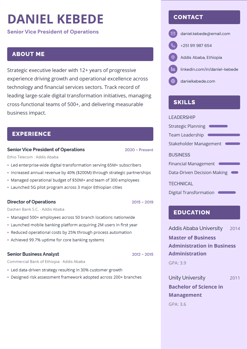 Creative Designer Resume